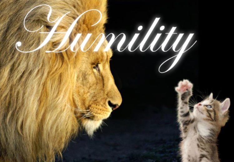 3151A41D-7EC8-43B1-96CE-44A1B888AFEE